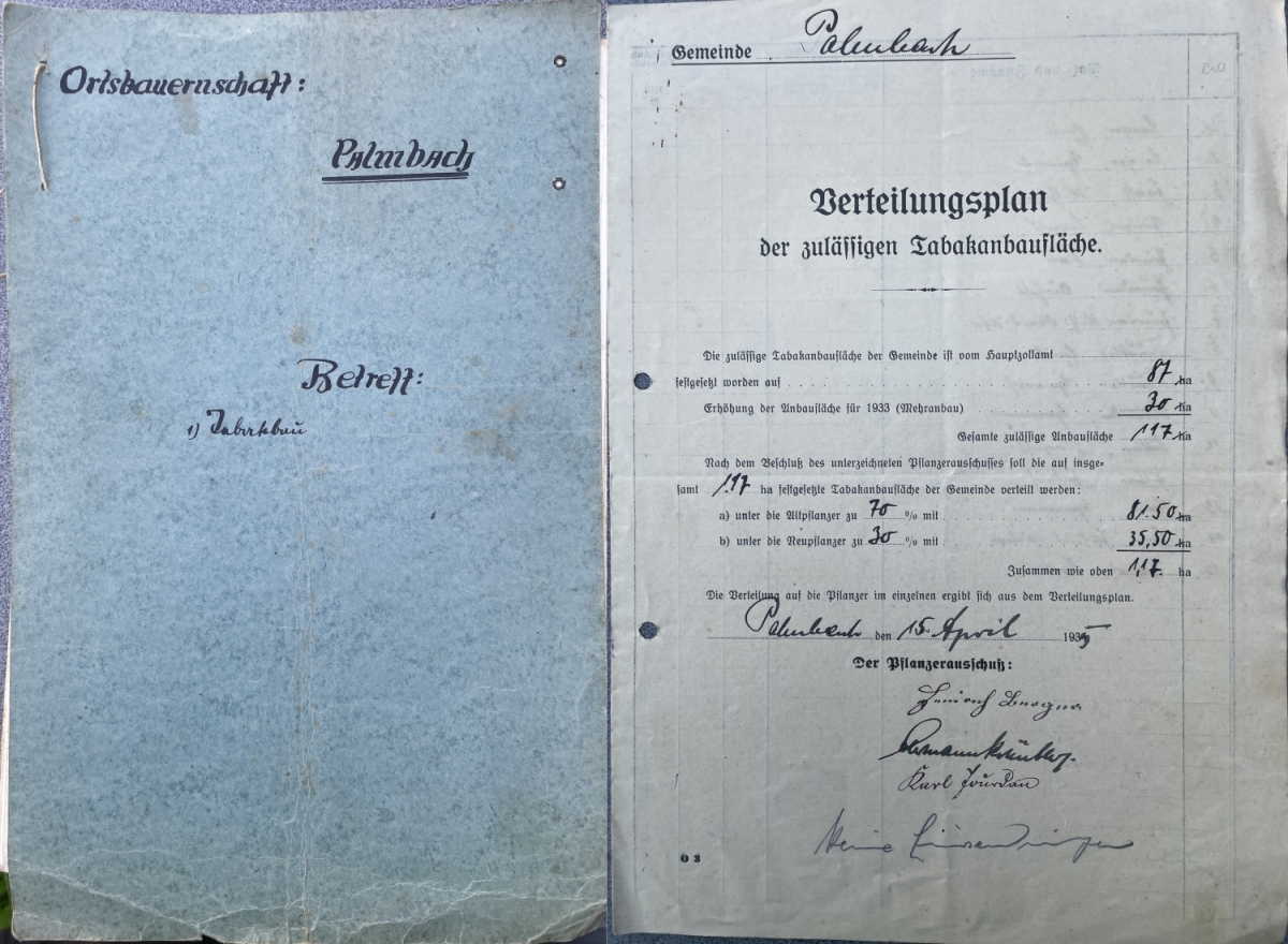 Tabakanbauflächenverteilung Palmbach 1935 Tabakanbauflächenverteilung Palmbach 1935