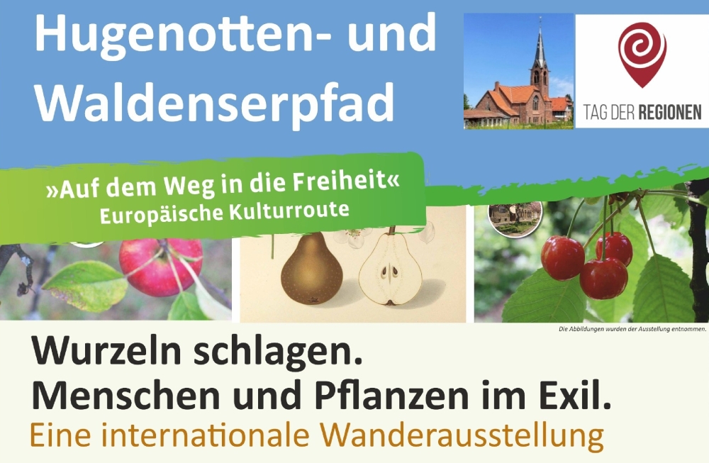 Ausstellung: Wurzeln schlagen. Menschen und Pflanzen im Exil