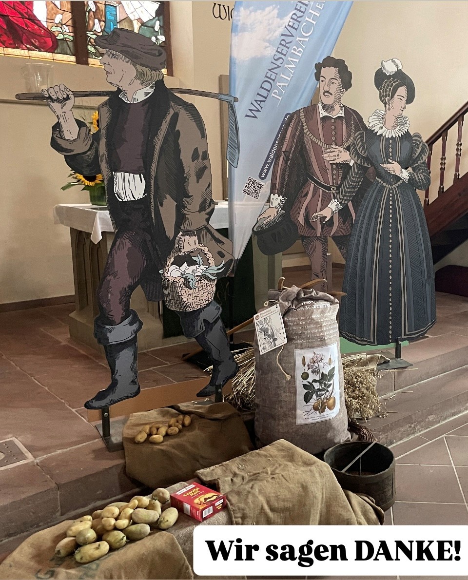 Wurzeln IMG 8810 Danke